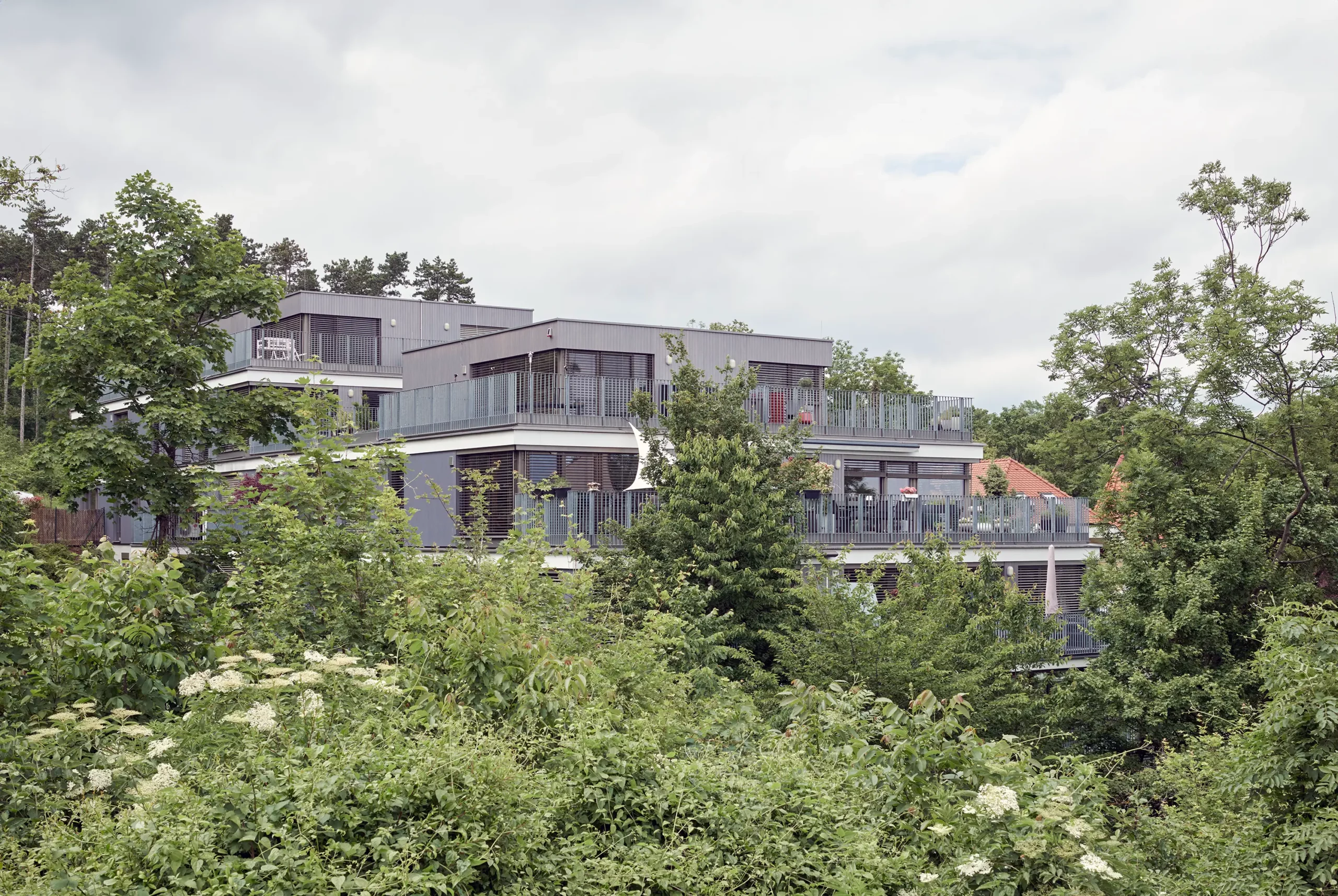 Wohnbau Enzesfeld 1